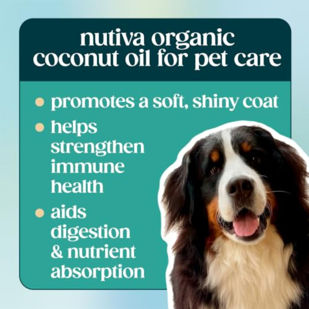 Nutiva Organic Coconut Oil, Cold-Pressed – Natural Hair /Skin Oil – 15 Fl Oz