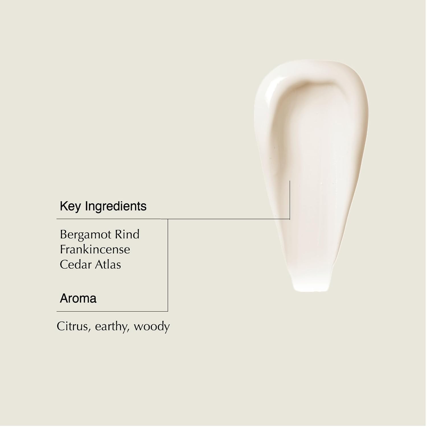 Aesop Conditioner | Soften & Hydrate All Hair Types, Nourishing Formula 16.9 oz