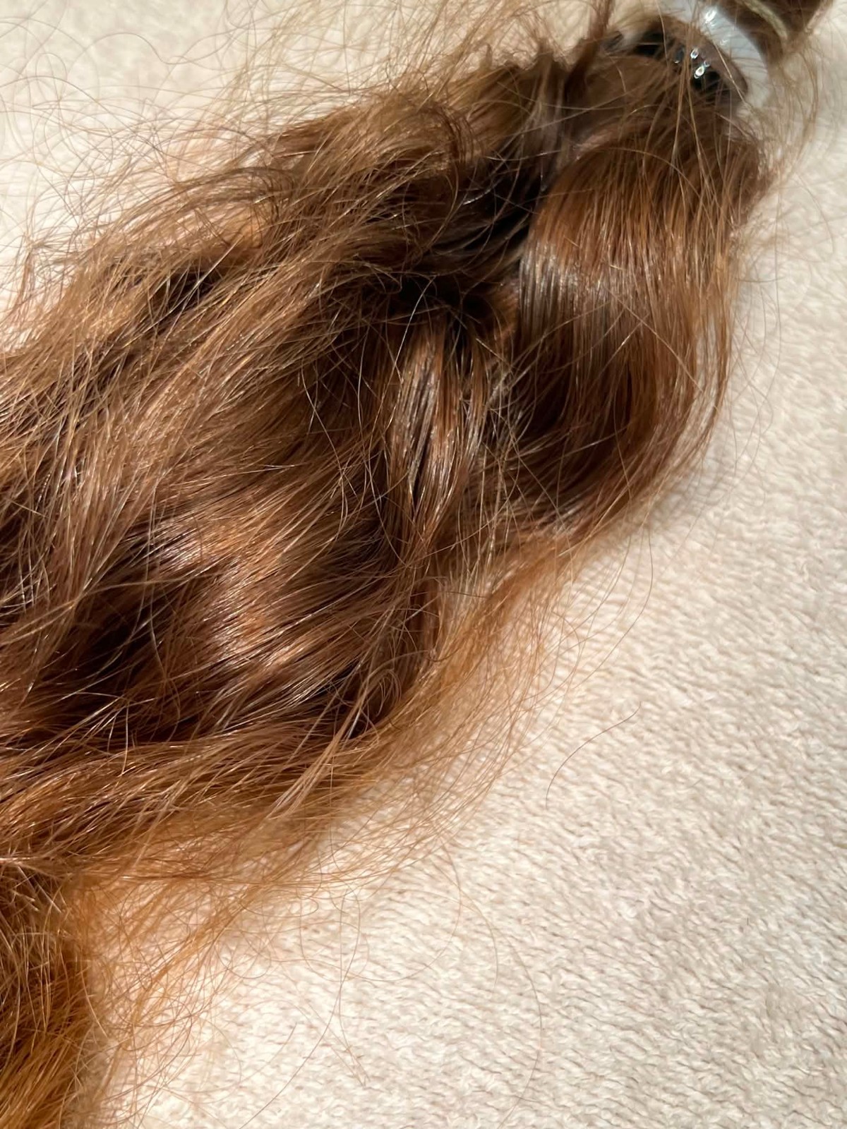 17″ Light Brown Wavy Human Adult Female Hair Thick Ponytail Recently Cut