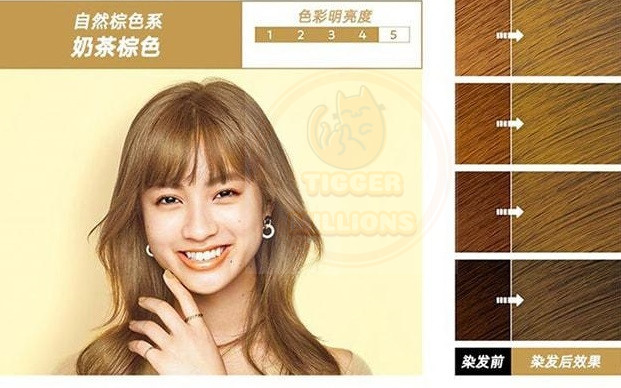 [US Seller] KAO LIESE Prettia Bubble Foam Hair Dye Kit Milk Tea Brown Color New