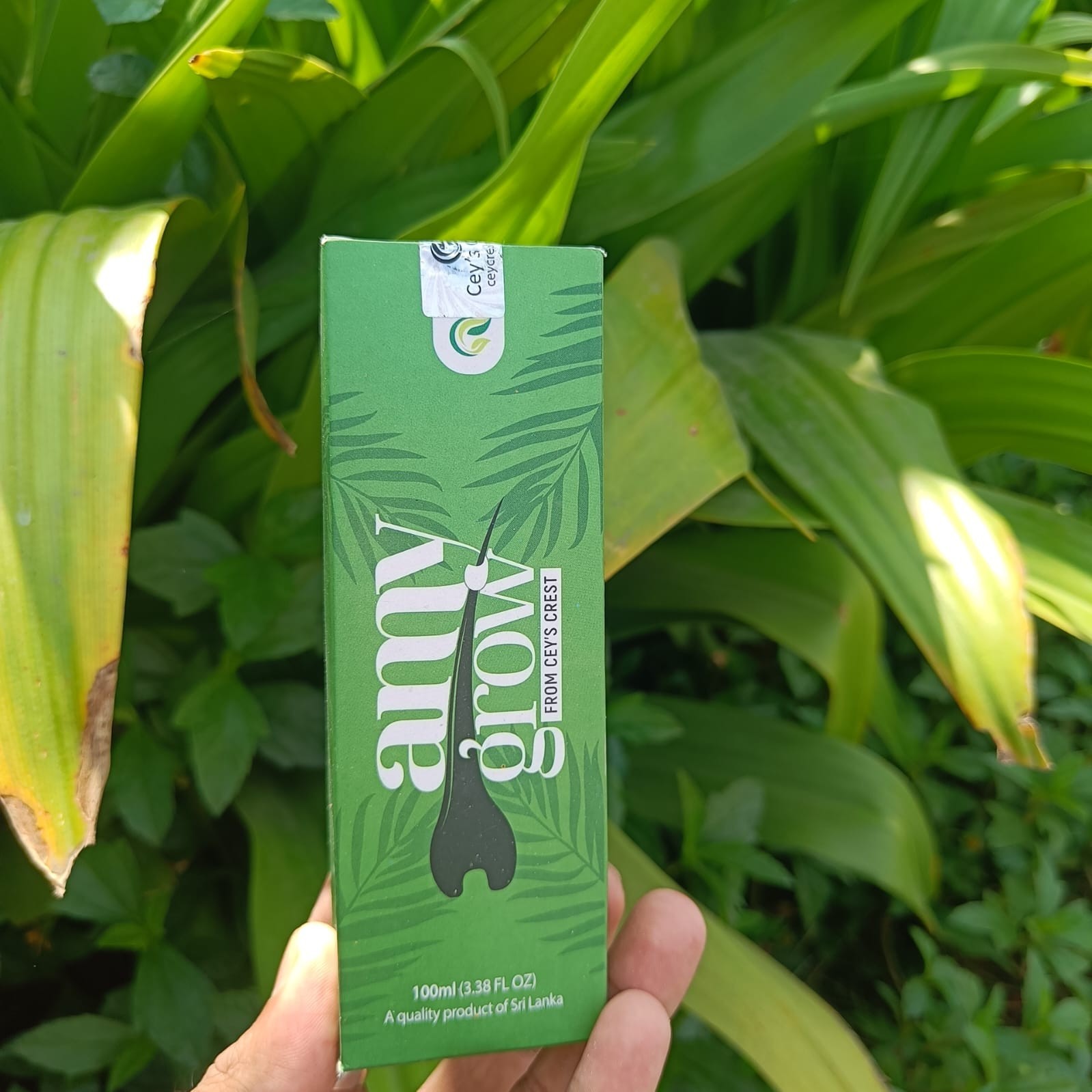 AmyGrow Hair Oil Hair growth Reduce Hair Fall Reduce premature grey -1 qty