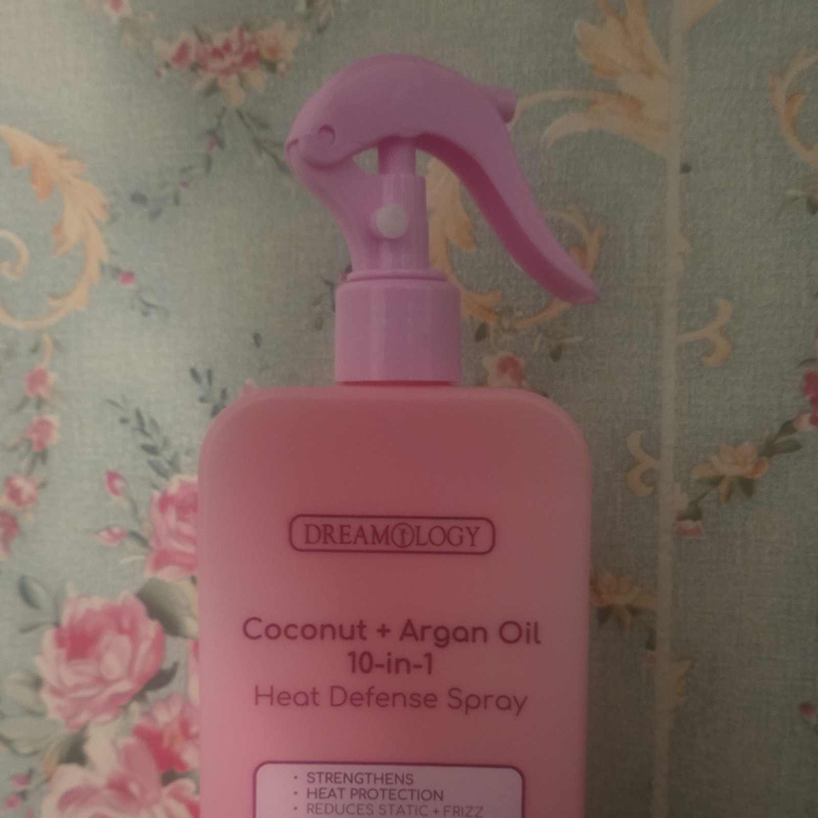 DREAMOLOGY 10-in-1 Coconut + Argan Oil Heat Defense Spray, Heat Protection