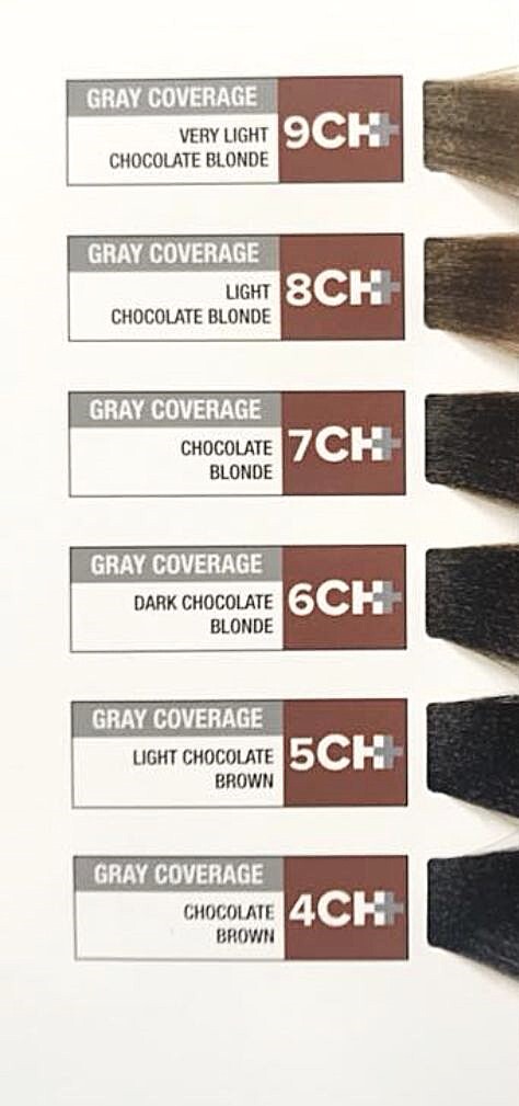 Paul Mitchell The Color GRAY+ Permanent Cream Hair Dye Color 3.0 oz AUTHENTIC