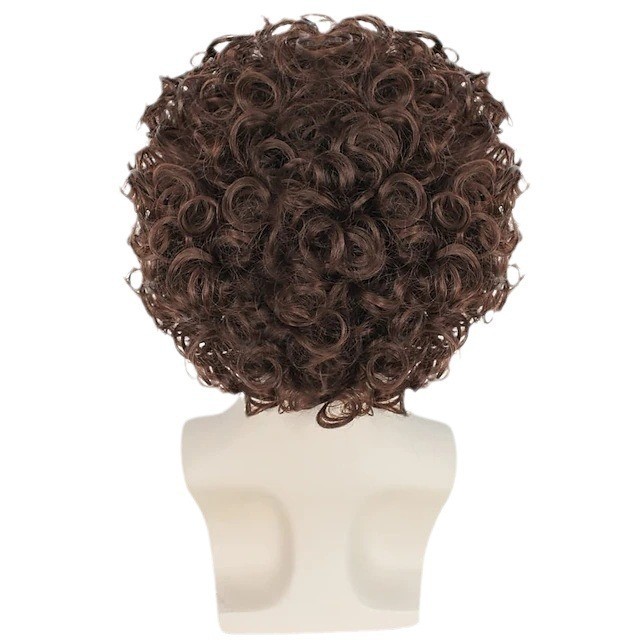 Unisex Short Afro Curly Wig Versatile Halloween Party Daily Synthetic Full Wig