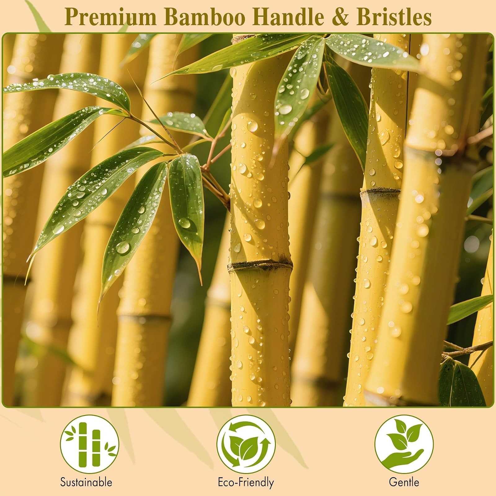 BFWood Bamboo Paddle Hair Brush Detangling Scalp Massage Anti-Static