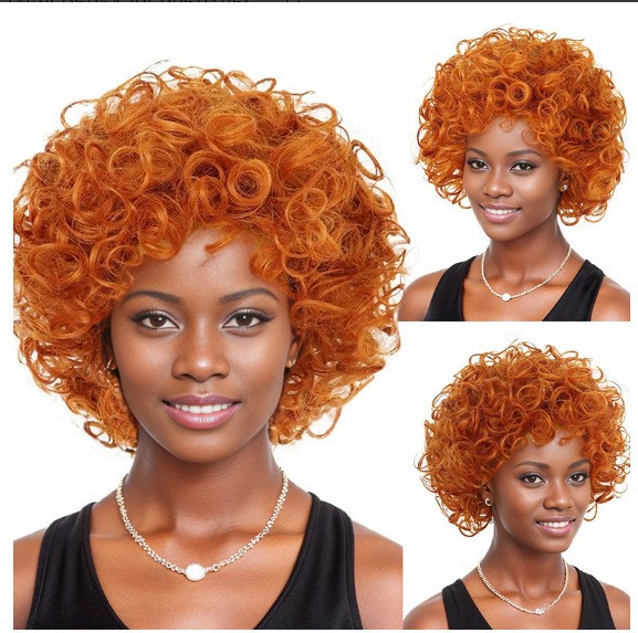 Unisex Short Afro Curly Wig Versatile Halloween Party Daily Synthetic Full Wig