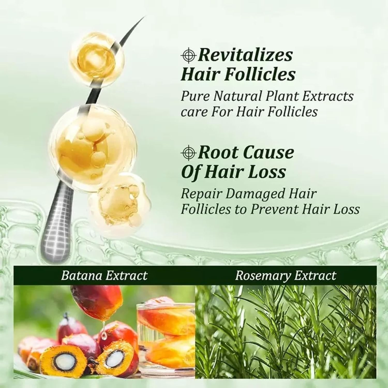 2Pcs Batana Oil Shampoo, Rosemary Oil Shampoo, 100% Batana Oil with Rosemary …