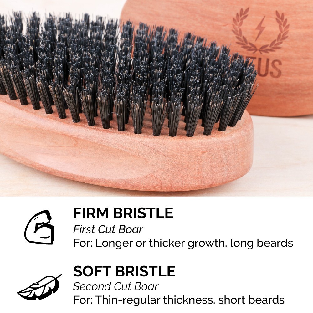 Zeus Oval Military Beard Brush with Bag, 100% Soft Boar Bristle, Germany Q92