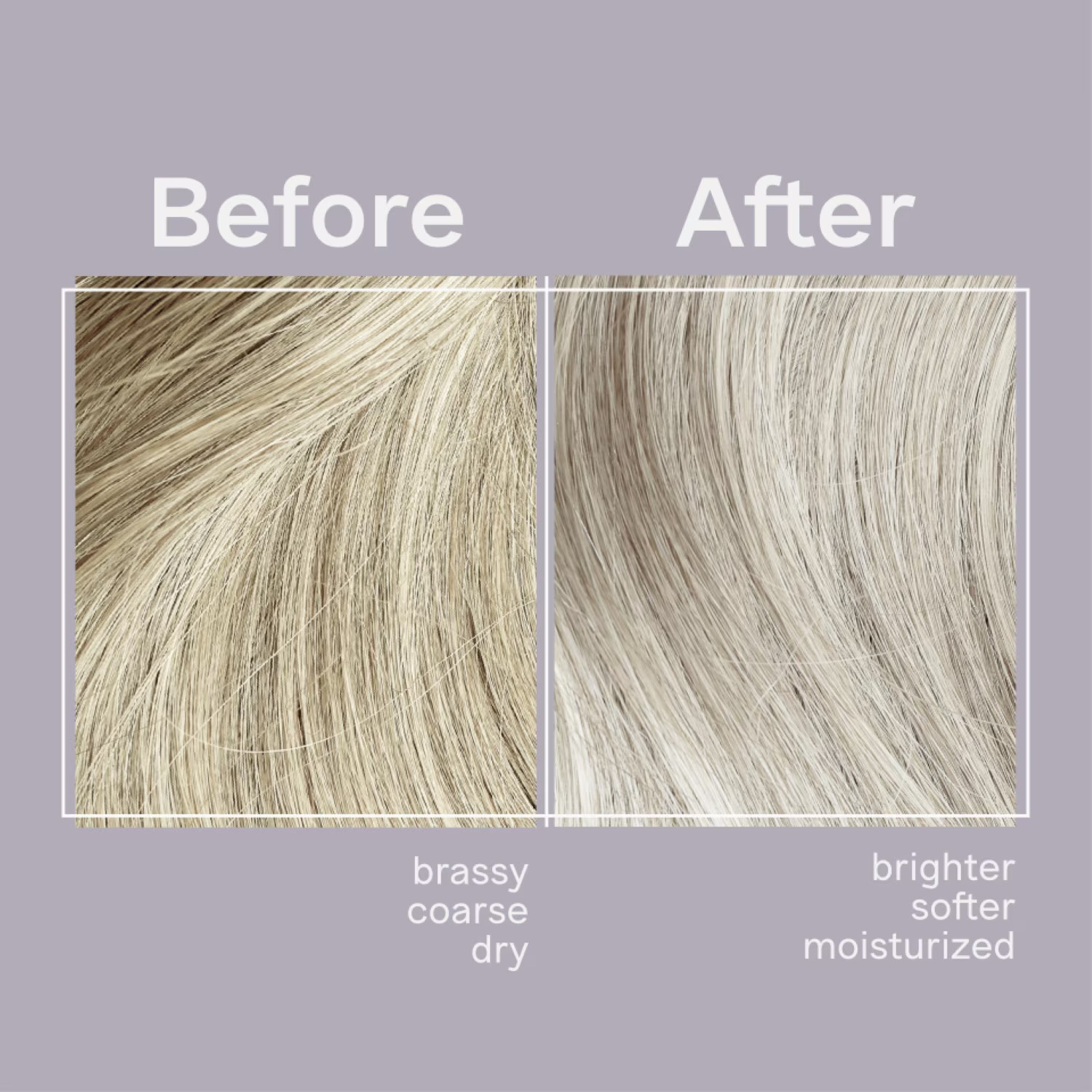 Jhirmack Silver Brightening Purple Shampoo for All Shades of Gray, White 12 floz