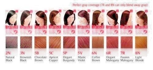 Bigen Hair Color, Silk Touch, #2N, 3N, 5B, 5C, 5V, 5P, 6R, 6N, 7R, 8N.(NEW)